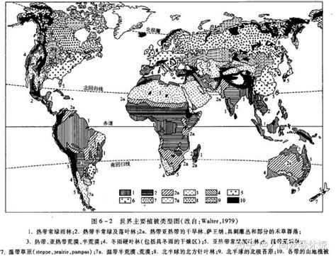 第六章 —植物地理学（第五版）江源等编著 知识点整理 知乎