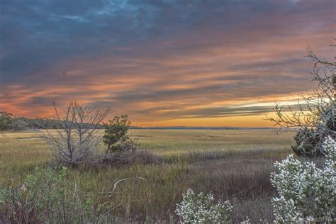 Edisto Elders Share Stories Edisto Island Museum T Shop