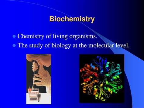 Ppt Introduction To Biochemistry Powerpoint Presentation Free