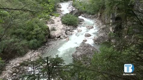 Diga Del Vanoi Cresce Il Fronte Del Dissenso Telebelluno