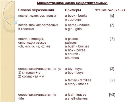 Картинки Множественное Число Существительных В Английском Языке — Фото