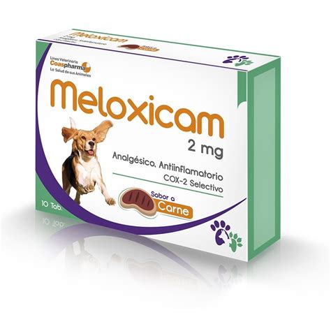 Meloxicam for Dogs: What is it used for? dose and more