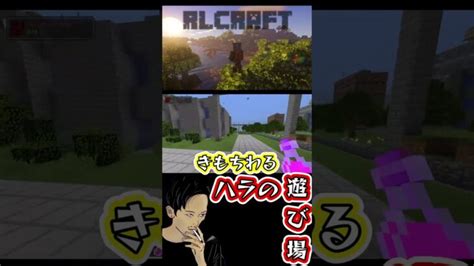 【マインクラフト】地獄の中の地獄 Shorts Minecraft Summary マイクラ動画