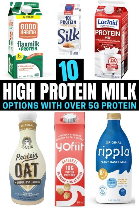 10 High Protein Milk Options I Love