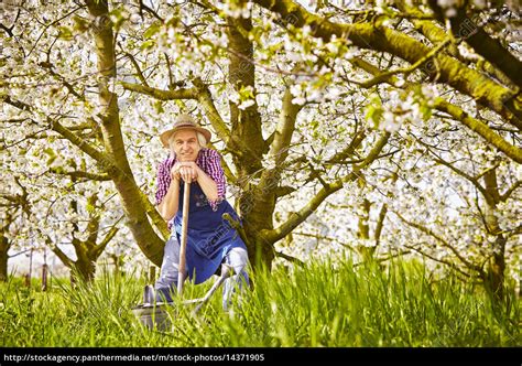 Gärtner Spaten Gießkanne Wiese Bäume Stockfoto 14371905