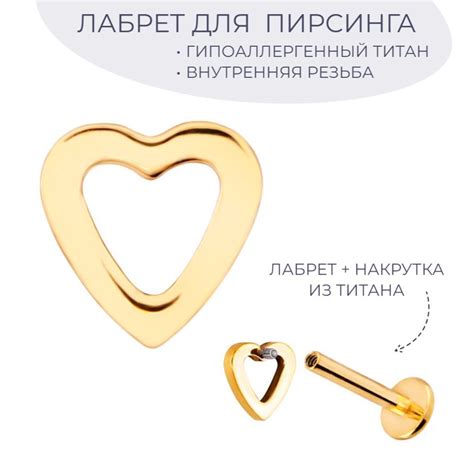 69LEVEL Пирсинг Лабрет В ухо - купить с доставкой по выгодным ценам в ...