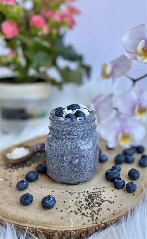 Blueberry Chia Seed Pudding Dietitian Recipe