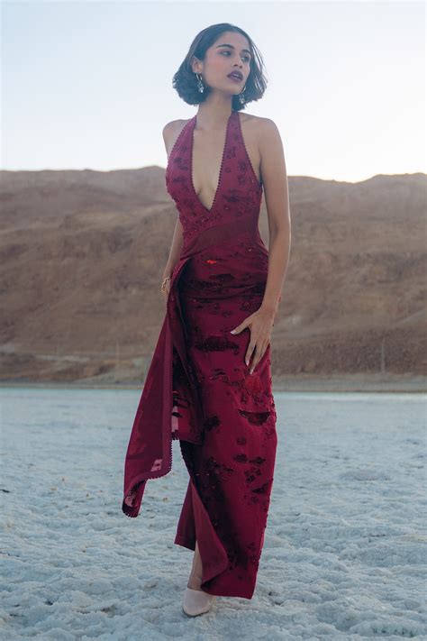 Buy Maroon Organza Embroidered Tonal Work Plunge V Neck Tamanna Gown