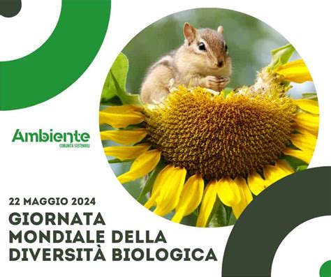 Oggi Maggio Giornata Mondiale Della Diversit Biologica Ambiente