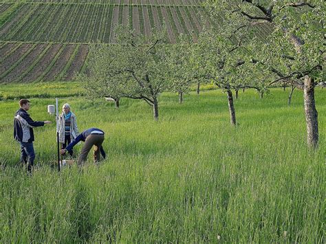 Forschungsprojekt Streuobstwiesen Im Klimawandel Bund Naturschutz In