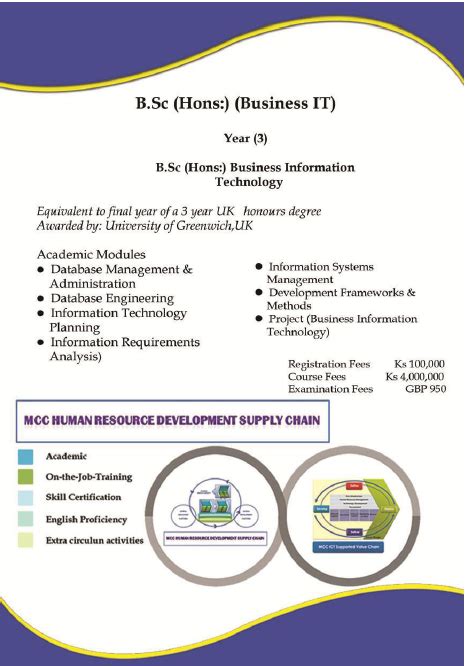 B Sc Hons Business It Mcc Institute