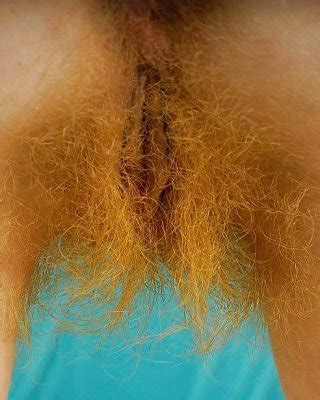 Hairy Women I Like To Fuck Porn Pictures XXX Photos Sex Images 3884778 PICTOA