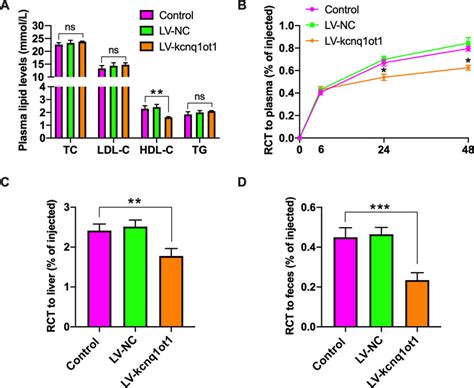 Effects Of Kcnq1ot1 On Plasma HDL C Levels And RCT In ApoE Mice A