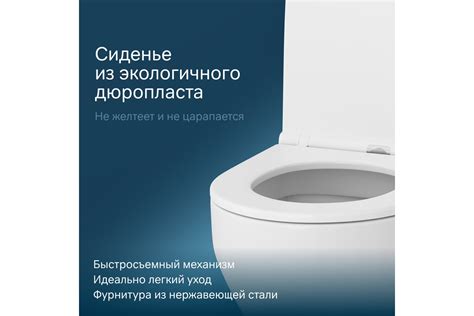 Подвесной унитаз AM.PM FlashClean Spirit V2.0 с сиденьем микролифт ...