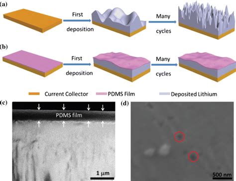 Schematic Diagrams Of Li Deposition A Li Deposition On Bare Cu Foil