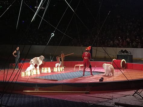 Shrine Circus Omaha 2024 Kial Selina