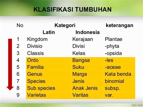 Ppt Poltekkes Taksonomi Tumbuhan