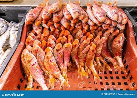 Fresh Fish From The Market Stock Image Image Of Fishing 272586957