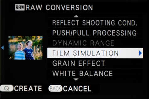 Your Guide To The Fujifilm  Film Simulations With Sample Images