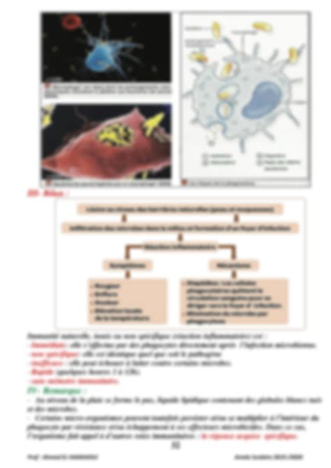 Solution Cours Le Systeme Immunitaire Eme Annee College Studypool