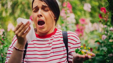 Allergy Season Is Getting More Intense With Climate Change Were