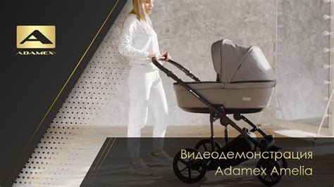 Нежная и практичная модульная коляска Adamex Amelia 2в1 - YouTube