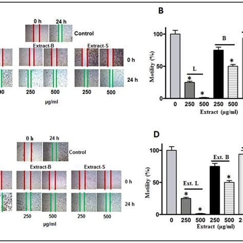 Cell motility assays. (A) MDA-MB-231 and (C) HCT-8 cell lines ...