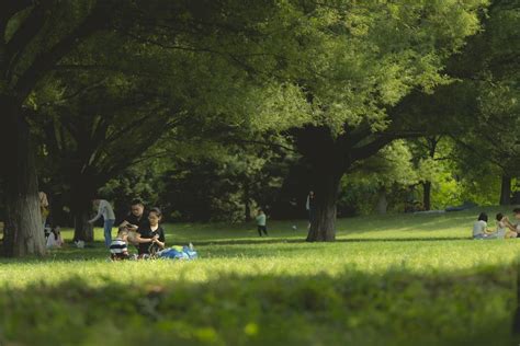 Leuke Picknick Plekjes In Eindhoven Licht Op Eindhoven