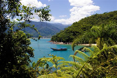 As Melhores Trilhas Para Explorar Ilhabela No Litoral Norte De S O