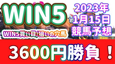 【競馬】win5予想3600円勝負 ️そして、今週の動画内限定の穴馬は 競馬動画まとめ