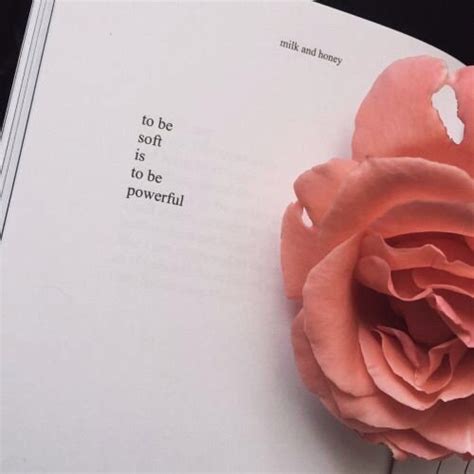 Milk And Honey/Book Review.🍯 | Girls Amino 💚 Amino