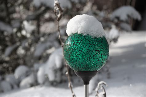 green globe  pictures freeimages