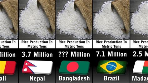 Rice Production By Country Youtube