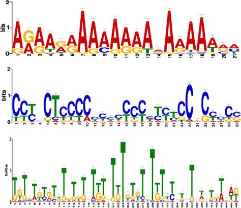 Graphic Representation Of The Three Conserved Domains Found With