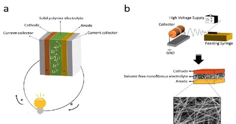 Schematic Illustration Of The Li Ion Battery With The A Solid Polymer