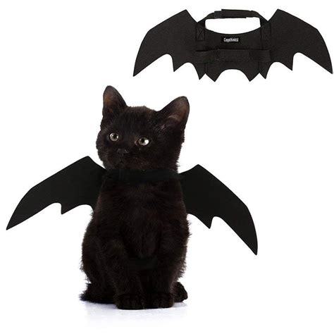 The Best Cat Costumes for Halloween | Reader’s Digest