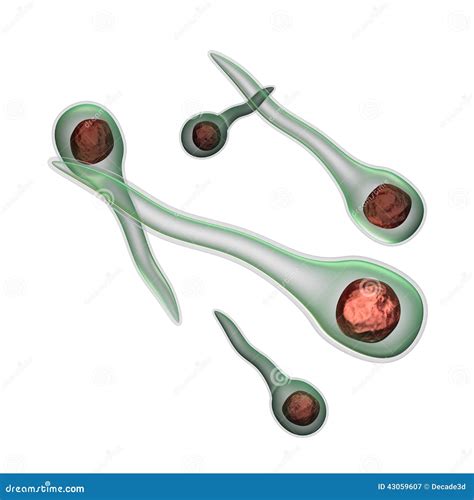 Tetanus Bacteria Stock Photo 2202408