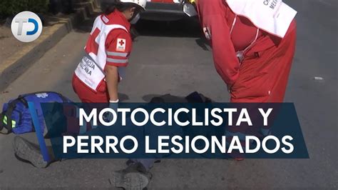 Motociclista Atropella A Perro Y Ambos Resultan Lesionados Youtube