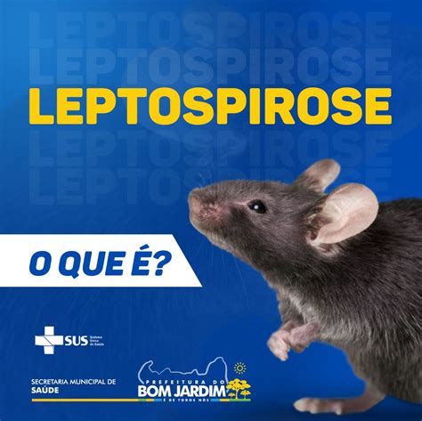 O QUE É LEPTOSPIROSE Prefeitura Municipal do Bom Jardim