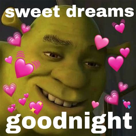 Good Night Memes For When You Want Funny Goodnight Wishes Artofit