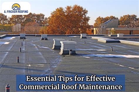 Essential Tips For Effective Commercial Roof Maintenance