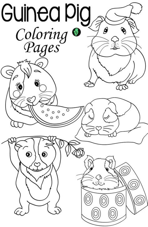 Guinea Pig Coloring Pages Printable - Coloring Pages