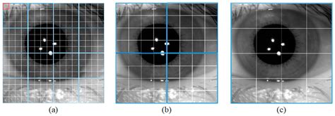 J Imaging Free Full Text Towards More Accurate And Complete