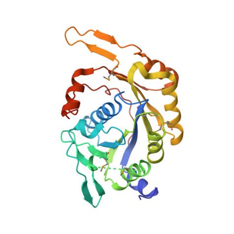 RCSB PDB 3KB1 Crystal Structure Of The Nucleotide Binding Protein AF