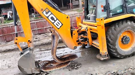 JCB 3dx Backhoe Loader Working For New Bride Construction Swaraj 853