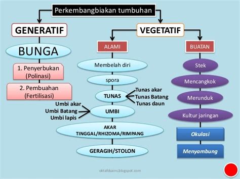 5 Perkembangbiakan Tumbuhan