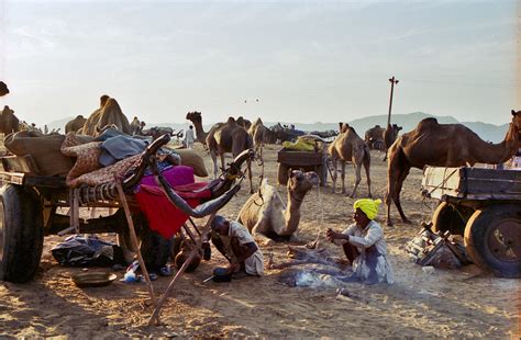 A Peine Arriv S Sur Le Sable Environnant Pushkar Les Flickr