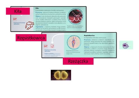 Rak Szyjki Macicy Spowodowany Jest G Wnie Przez Wirus Hpv Human