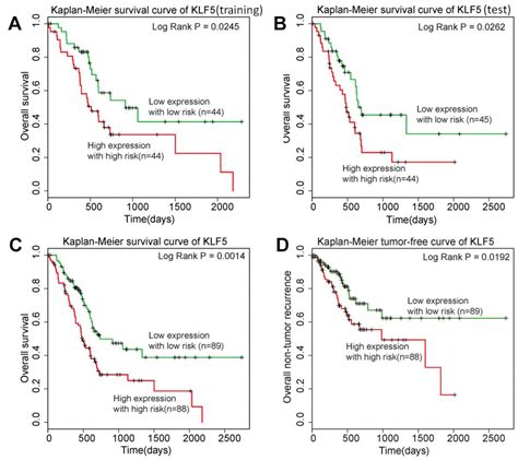 Overexpression Of Klf Is Associated With Poor Survival And G S