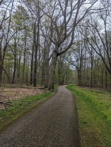 Best Hikes and Trails in Bath Nature Preserve | AllTrails